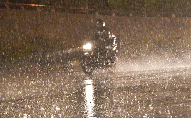 Farmers Asked To Postpone Harvesting Due To Rainfall In Parts Of India