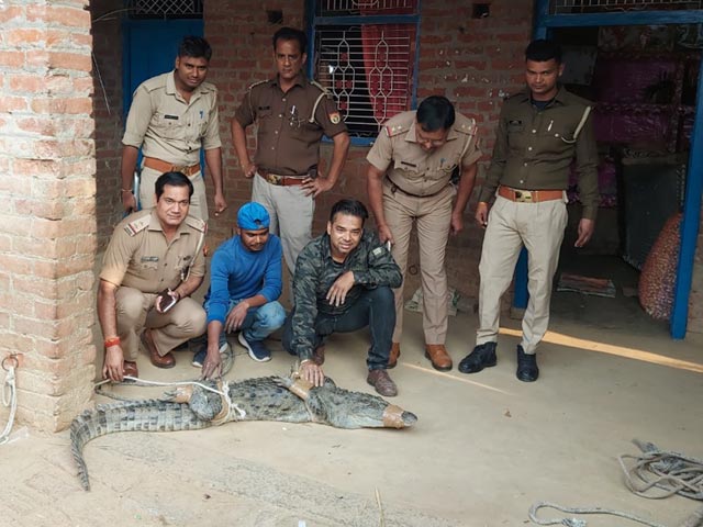 UP Family Was Sleeping At Night When Crocodile Entered House In Search Of Food