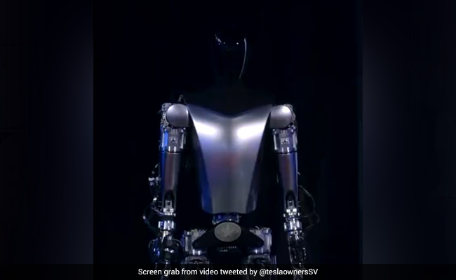 Optimus Could Eliminate Poverty: Elon Musk On Humanoid Robot