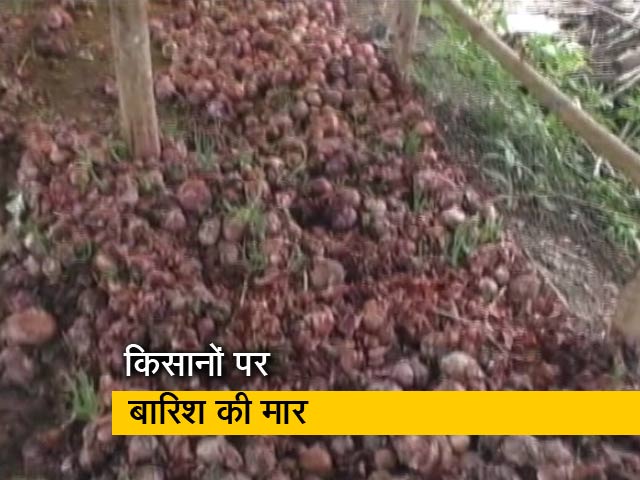 देश प्रदेश: महाराष्ट्र में भारी बारिश से खराब हुई फसलें