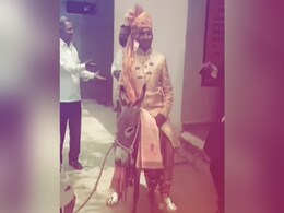 VIDEO: नहीं मिली घोड़ी तो गधे पर ही बारात ले पहुंचा दूल्हा, लोगों के उड़े होश VIDEO: नहीं मिली घोड़ी तो गधे पर ही बारात ले पहुंचा दूल्हा, लोगों के उड़े होश
