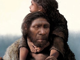 Oldest Known Human Viruses Discovered In 50,000-Year-Old Neanderthal Bones Oldest Known Human Viruses Discovered In 50,000-Year-Old Neanderthal Bones