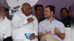 काँग्रेसचं ठरलं! राहुल गांधी रायबरेलीतून निवडणूक रिंगणात, तर अमेठीतून...