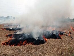 पंजाब : पराली नहीं जलाने वाले 150 किसानों का सम्मान, पर्यावरण मंत्री बोले- लघु वन किए जा रहे स्थापित पंजाब : पराली नहीं जलाने वाले 150 किसानों का सम्मान, पर्यावरण मंत्री बोले- लघु वन किए जा रहे स्थापित