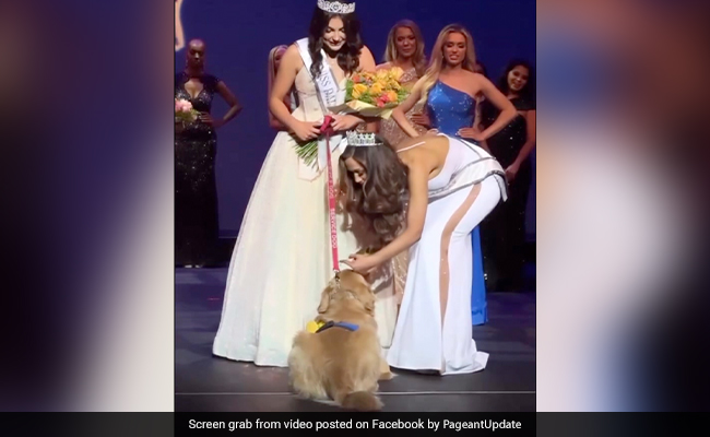 US Teen With Epilepsy Crowned Beauty Pageant With Her Service Dog By Her Side In Viral Video