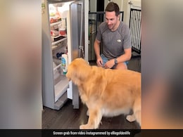कुत्ते को फ्रिज खोलना सिखा रहा था मालिक, कुछ देर बाद कुत्ते ने जो किया, आपको यकीन नहीं होगा कुत्ते को फ्रिज खोलना सिखा रहा था मालिक, कुछ देर बाद कुत्ते ने जो किया, आपको यकीन नहीं होगा
