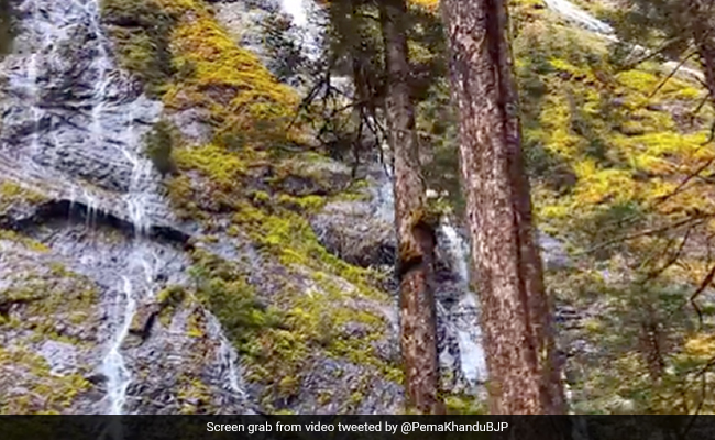 Watch: Arunachal Chief Minister Pema Khandu Shares Magnificent View Of Yameng Waterfalls