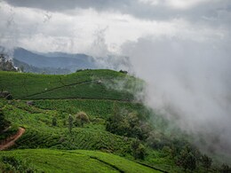 घूमने के शौकीनों के लिए Coonoor की ये जगहें हैं बेस्ट, एड कर लीजिए अपनी Travel लिस्ट में घूमने के शौकीनों के लिए Coonoor की ये जगहें हैं बेस्ट, एड कर लीजिए अपनी Travel लिस्ट में