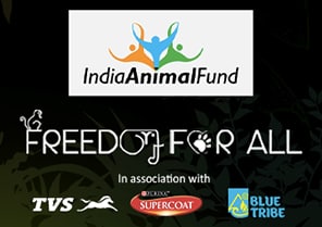 Freedom For All Freedom For All