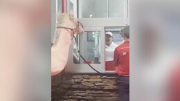 Man Walks With Camel To Drive-Through To Order Fast Food, And Internet is Amused
