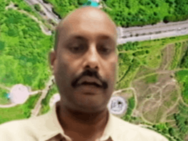 An Urban Forest Near Bhalswa Landfill In Delhi