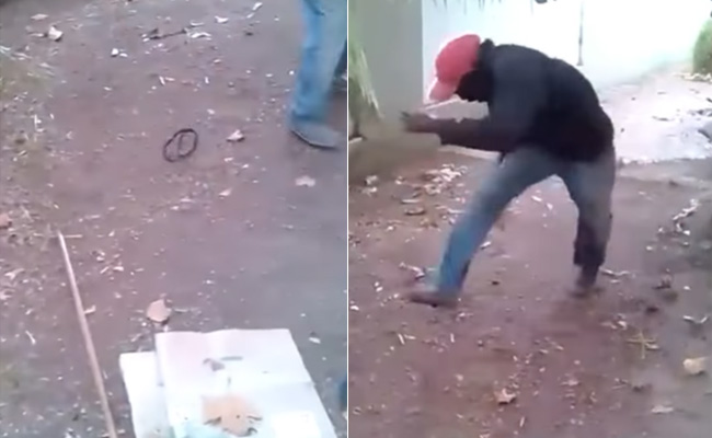 शख्स के पीछे हाथ धोकर पड़ा सांप, Video देख नहीं होगा आंखों पर यकीन