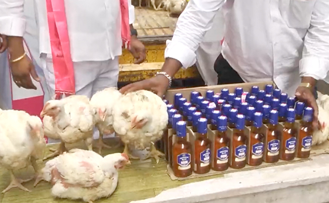 Watch: Chicken, Liquor Distributed By Leader Of KCR's Party For Dussehra