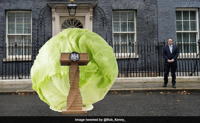 "When A Lettuce Outlasts A PM": Lizz Truss Resignation Sparks Meme Fest
