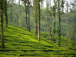 कर्नाटक के इस शहर को कहते हैं भारत का स्कॉटलैंड, सुंदरता देख आपका भी मन करेगा जाने का कर्नाटक के इस शहर को कहते हैं भारत का स्कॉटलैंड, सुंदरता देख आपका भी मन करेगा जाने का