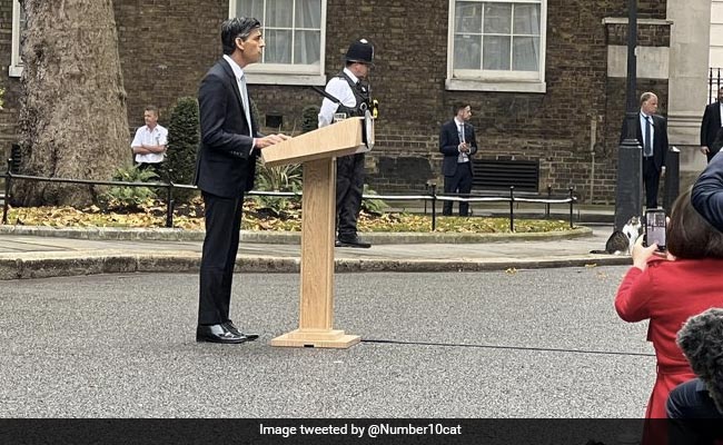 Larry The Cat Steals The Thunder During Rishi Sunak's First Speech. See Pic