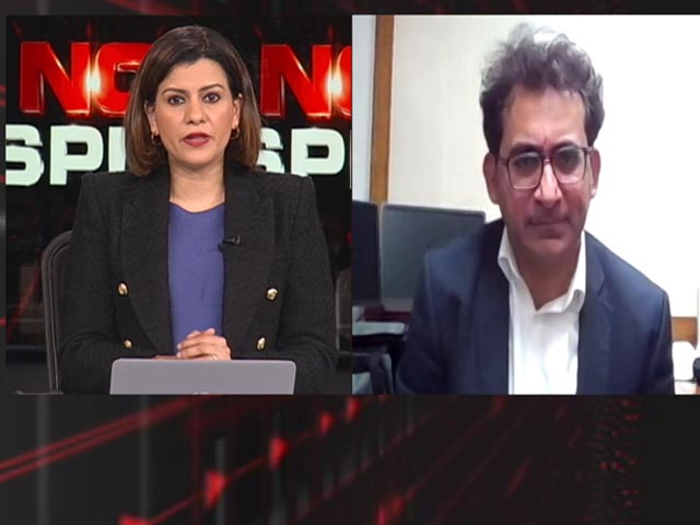 Finance Minister's Statement Technically Correct: PM Advisory Council Member On Rupee