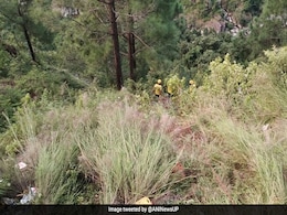 उत्तराखंड: पौड़ी गढ़वाल में बस खाई में गिरने से 25 लोगों की मौत, 50 लोग थे सवार उत्तराखंड: पौड़ी गढ़वाल में बस खाई में गिरने से 25 लोगों की मौत, 50 लोग थे सवार