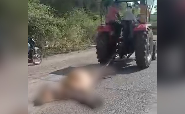 MP : मृत गाय को ट्रैक्टर से बांधकर घसीटना पड़ा महंगा, कर्मचारी सस्पेंड