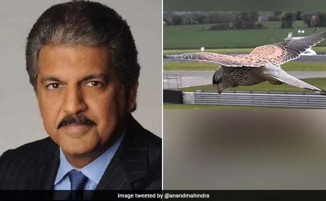 "Let Your Winds Flap..." Anand Mahindra's Monday Motivation Video is Everything You Need to Learn Today
