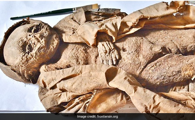 What 'Virtual Autopsy' Revealed About Health Of A 17th Century Mummified Baby