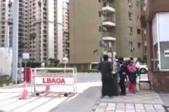 1-Year-Old Mauled By Stray Dog At Noida Housing Society Dies Of Injuries 1-Year-Old Mauled By Stray Dog At Noida Housing Society Dies Of Injuries