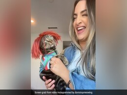 Woman Dresses Her Cat In "Chucky" Costume, Internet Reacts Woman Dresses Her Cat In "Chucky" Costume, Internet Reacts