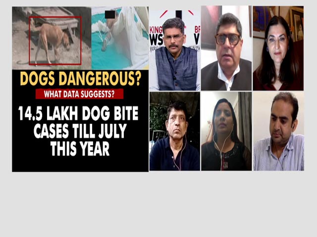 No Action Taken: Apartment Resident Where Dog Killed A Child