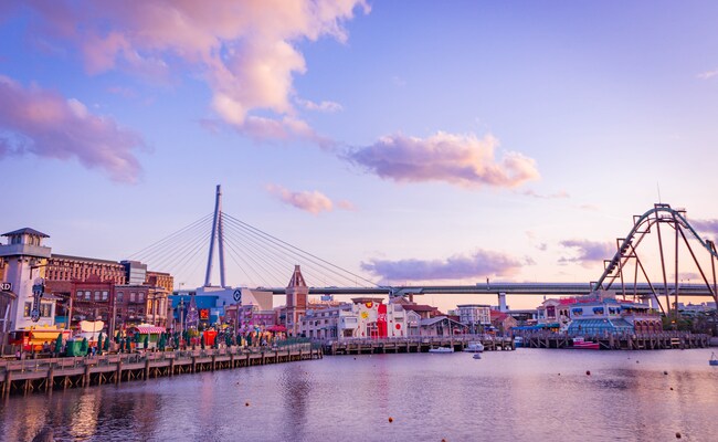 Suspected Human Skull Found Outside Japan Theme Park: Police