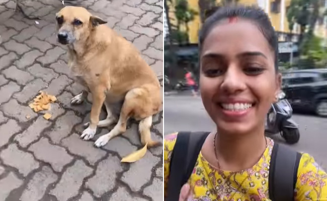 Watch: Woman Revisits Dog She Fed During Covid Lockdown, Internet Is All Hearts
