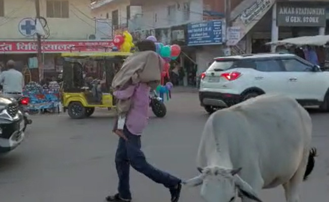 Video: Body On Shoulder, Madhya Pradesh Man Walks On Busy Road To Bus Stop