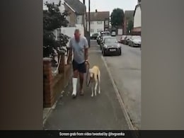 Harsh Goenka Shares Video Of Dog Imitating Its Injured Owner, Internet Is All Hearts Harsh Goenka Shares Video Of Dog Imitating Its Injured Owner, Internet Is All Hearts