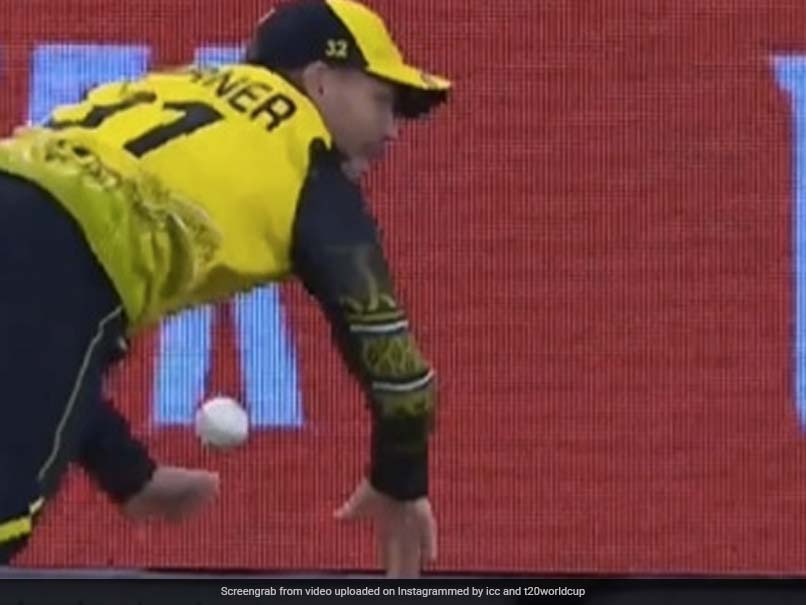 Watch: David Warner's "High-class" Fielding vs Sri Lanka Stops Certain Boundary