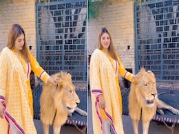 शेरों के साथ फोटो खिंचवाते हुए उनके साथ खेलने की गलती कर बैठी महिला! VIDEO देख कांप उठेगी रूह शेरों के साथ फोटो खिंचवाते हुए उनके साथ खेलने की गलती कर बैठी महिला! VIDEO देख कांप उठेगी रूह