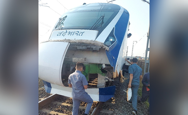 After Vande Bharat Trains Hit Cattle, Railways Start Fencing 620-Km Route