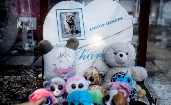Mussolini's Hen Rests At Italy's Oldest Pet Cemetery