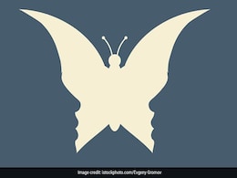 Optical Illusion Test: इस तस्वीर में छिपा है आपके अंदर के लीडर क्वालिटी का राज़, जानें कैसे Optical Illusion Test: इस तस्वीर में छिपा है आपके अंदर के लीडर क्वालिटी का राज़, जानें कैसे