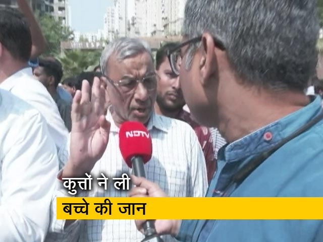 नोएडा में कुत्तों के हमले में एक बच्चे की मौत, लोगों का विरोध तेज