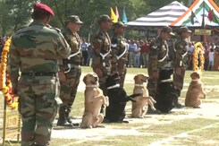 Watch: Army's Tribute To Military Dog 'Zoom', Who Died Fighting Terrorists Watch: Army's Tribute To Military Dog 'Zoom', Who Died Fighting Terrorists