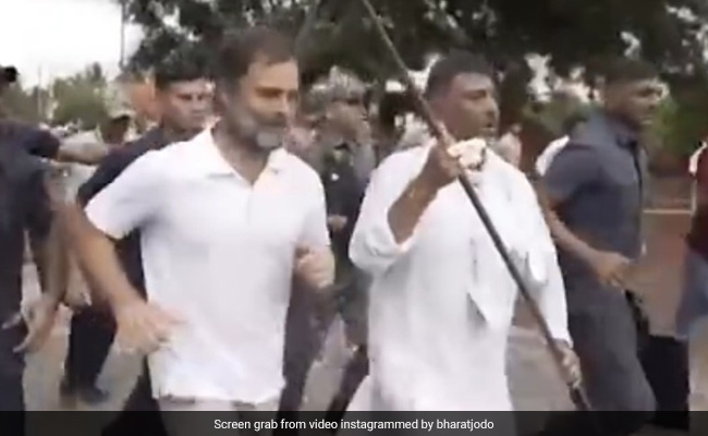 Watch: Rahul Gandhi Runs With DK Shivakumar In <i>Bharat Jodo Yatra</i>