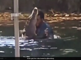 मगरमच्छ को गले से लगाकर डांस कर रहा था शख्स, किसी ने बना लिया Video, लोग बोले- गर्लफ्रेंड नहीं होगी बेचारे की मगरमच्छ को गले से लगाकर डांस कर रहा था शख्स, किसी ने बना लिया Video, लोग बोले- गर्लफ्रेंड नहीं होगी बेचारे की