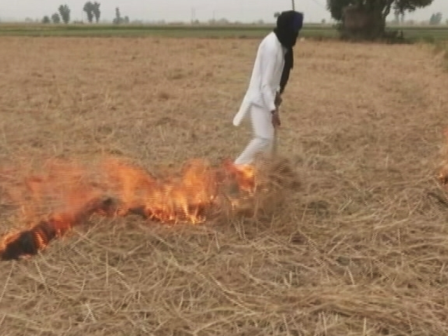 Ground Report Inside Punjab's War Room To Deal With Stubble Burning
