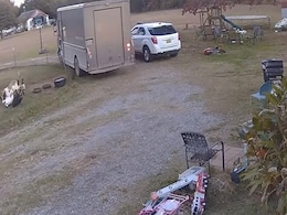 मालिक को देखकर बेहोश होने की एक्टिंग करने लगी बकरियां, VIDEO देख नहीं रुकेगी हंसी मालिक को देखकर बेहोश होने की एक्टिंग करने लगी बकरियां, VIDEO देख नहीं रुकेगी हंसी