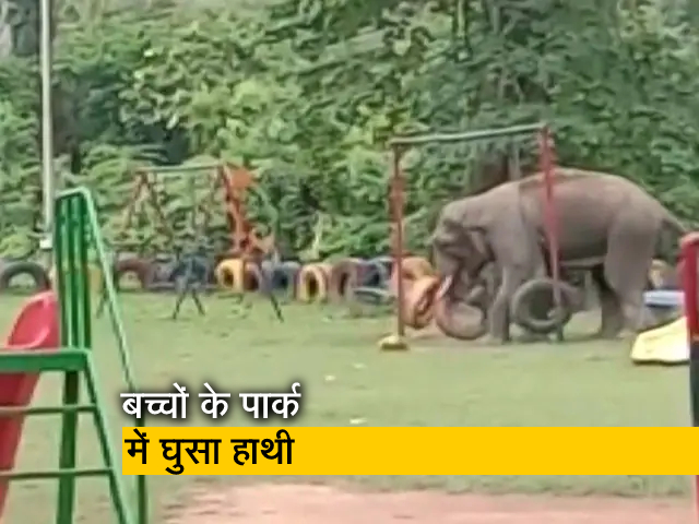 Watch: बच्चों के पार्क में घुसा हाथी, फिर क्या हुआ देखें
