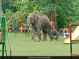 बच्चों के पार्क में जब झूले से खेलने लगा हाथी, वीडियो ने इंटरनेट पर मचाई धूम बच्चों के पार्क में जब झूले से खेलने लगा हाथी, वीडियो ने इंटरनेट पर मचाई धूम