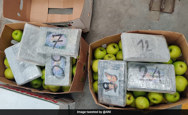 Cocaine Worth Rs 502 Crore Seized From Fruit Container At Mumbai Port