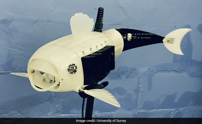 3D Robot Fish 'Gillbert' Eats Microplastics From Waterways, Has Been Designed By Student