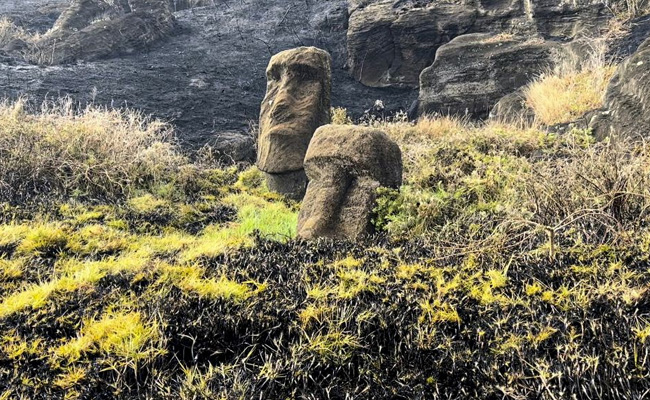 Pics: Easter Island's Iconic Moai Statues Charred After Forest Fire