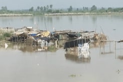 Record-Breaking Rain In Northeast, Massive Crop Damage In UP Record-Breaking Rain In Northeast, Massive Crop Damage In UP