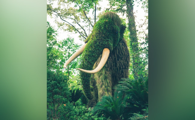 CIA Wants To Bring Back Woolly Mammoth From Extinction: Report